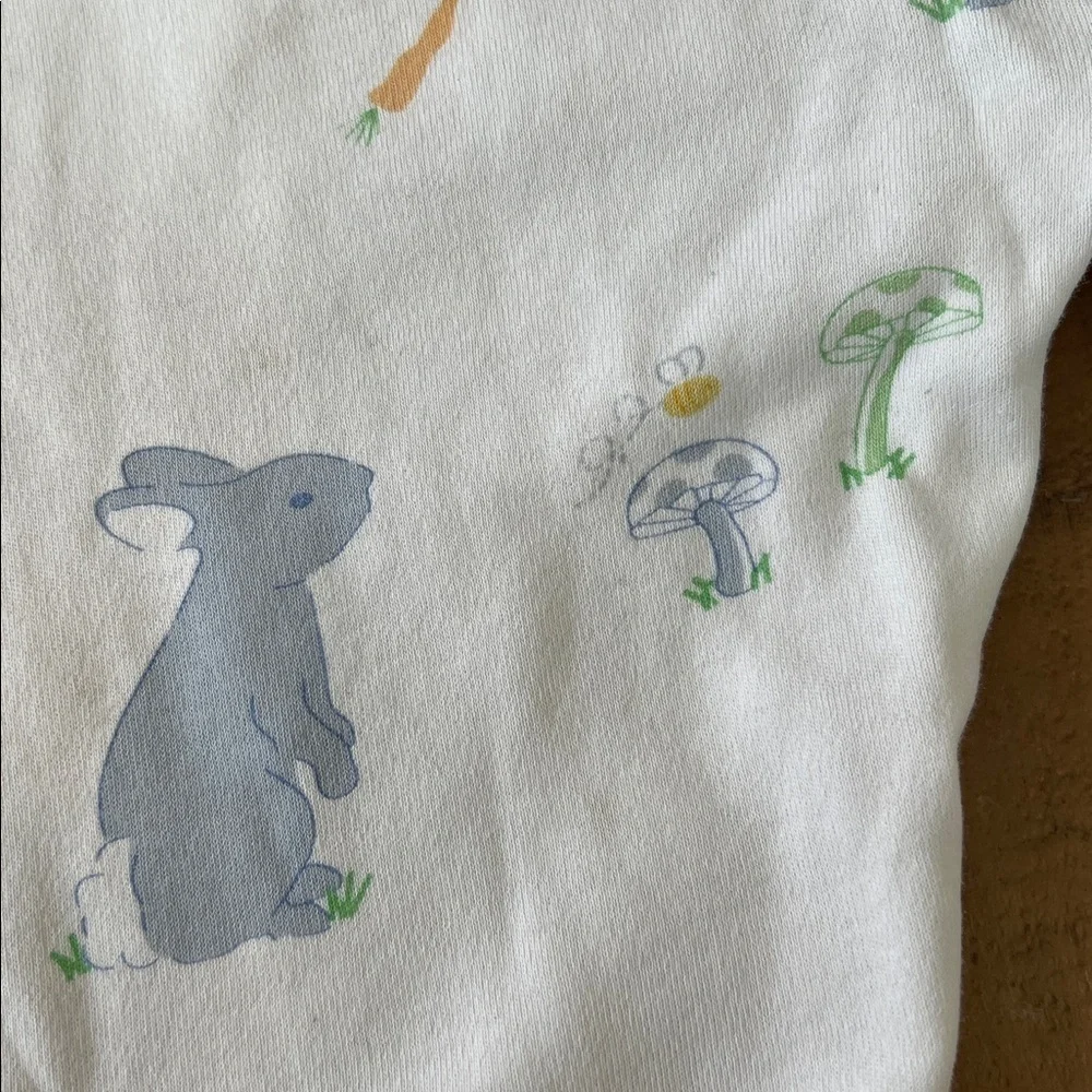 Little English Easter spring animal pajama set kids 6 bunny ducks long sleeve